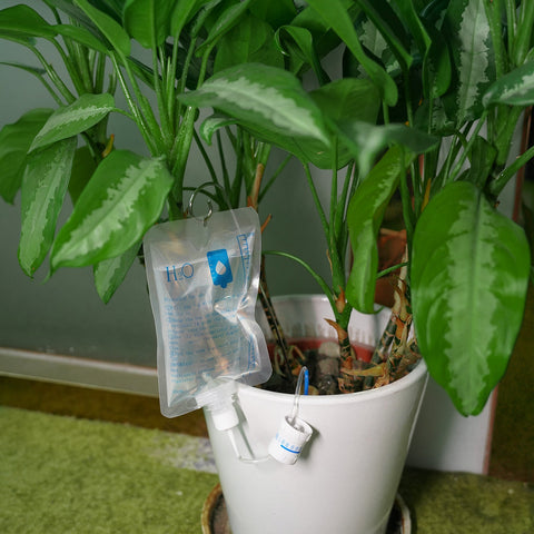 Automatic Plant Life Houseplant Watering Device - Plant Waterer Bag w/ Retractable Bracket Hook