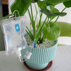 Automatic Plant Life Houseplant Watering Device - Plant Waterer Bag w/ Retractable Bracket Hook